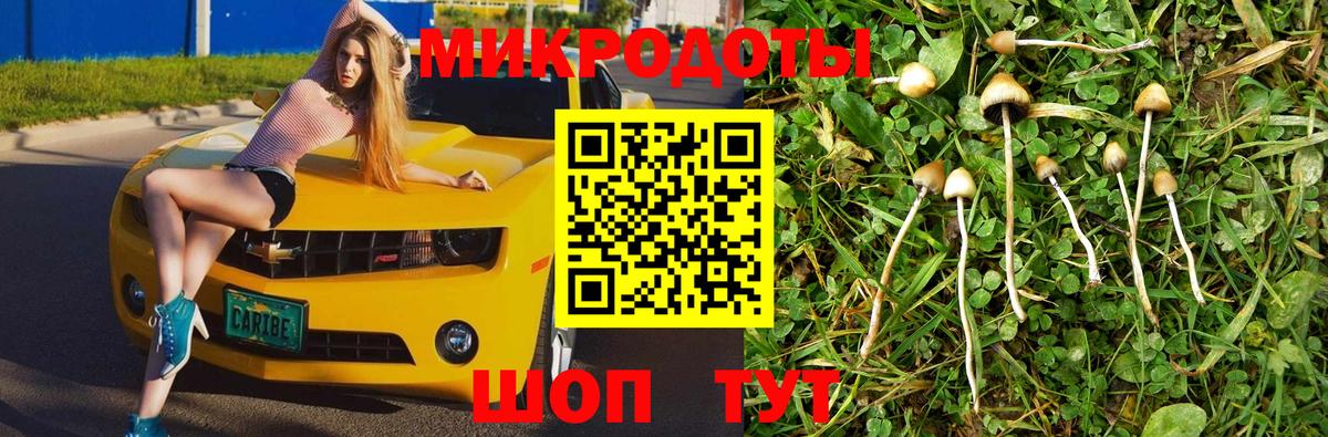 Галлюциногенные грибы мухоморы Донецк