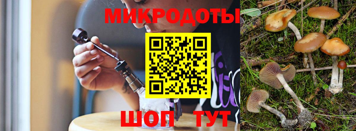 Галлюциногенные грибы Донецк